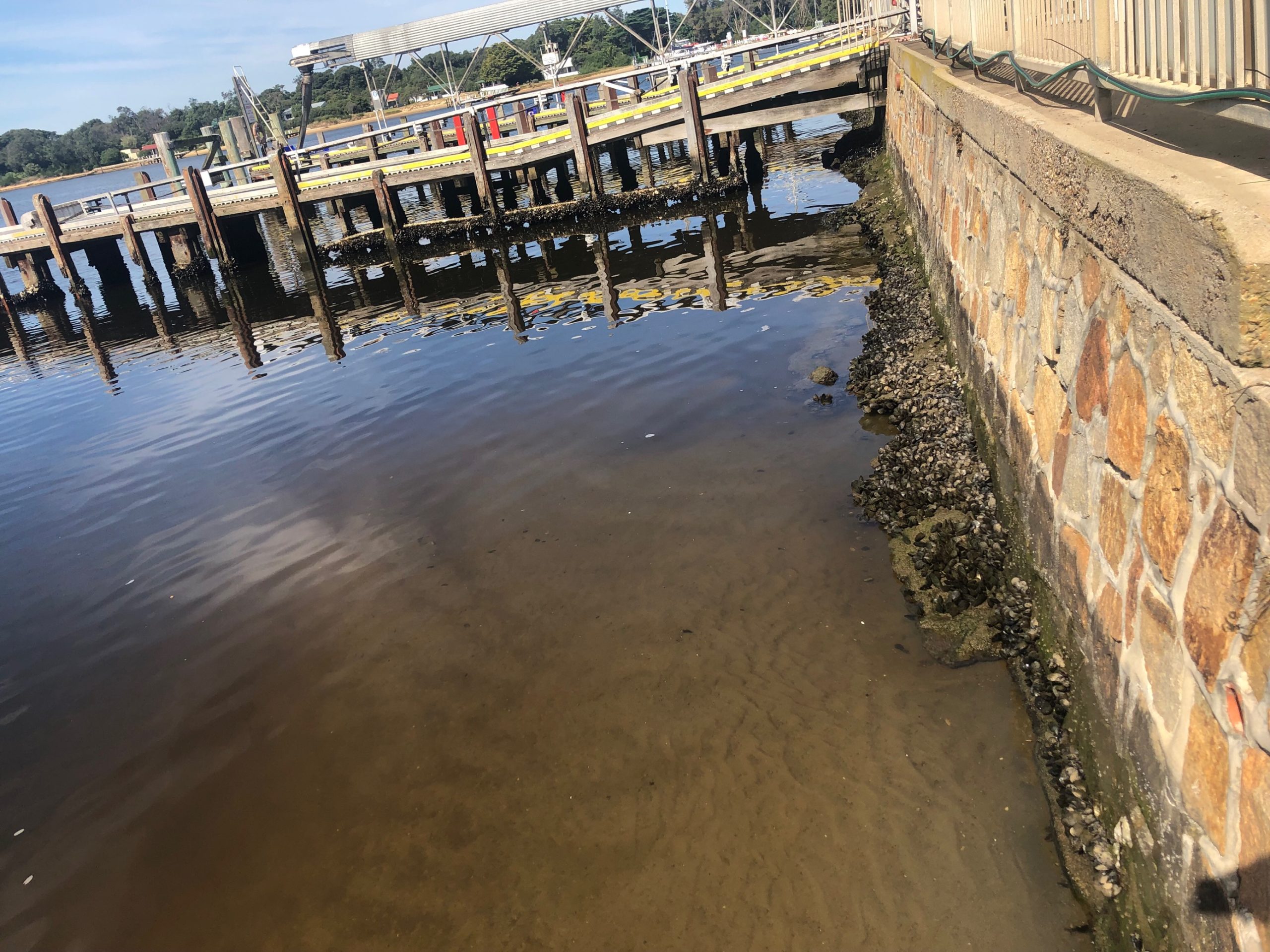 Bullock Island Seawall, VIC